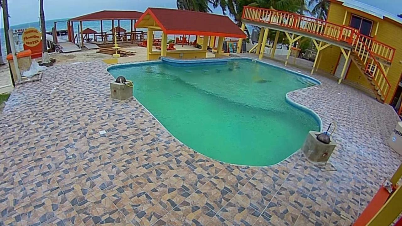 קיי קולקר Tropical Paradise Express מראה חיצוני תמונה