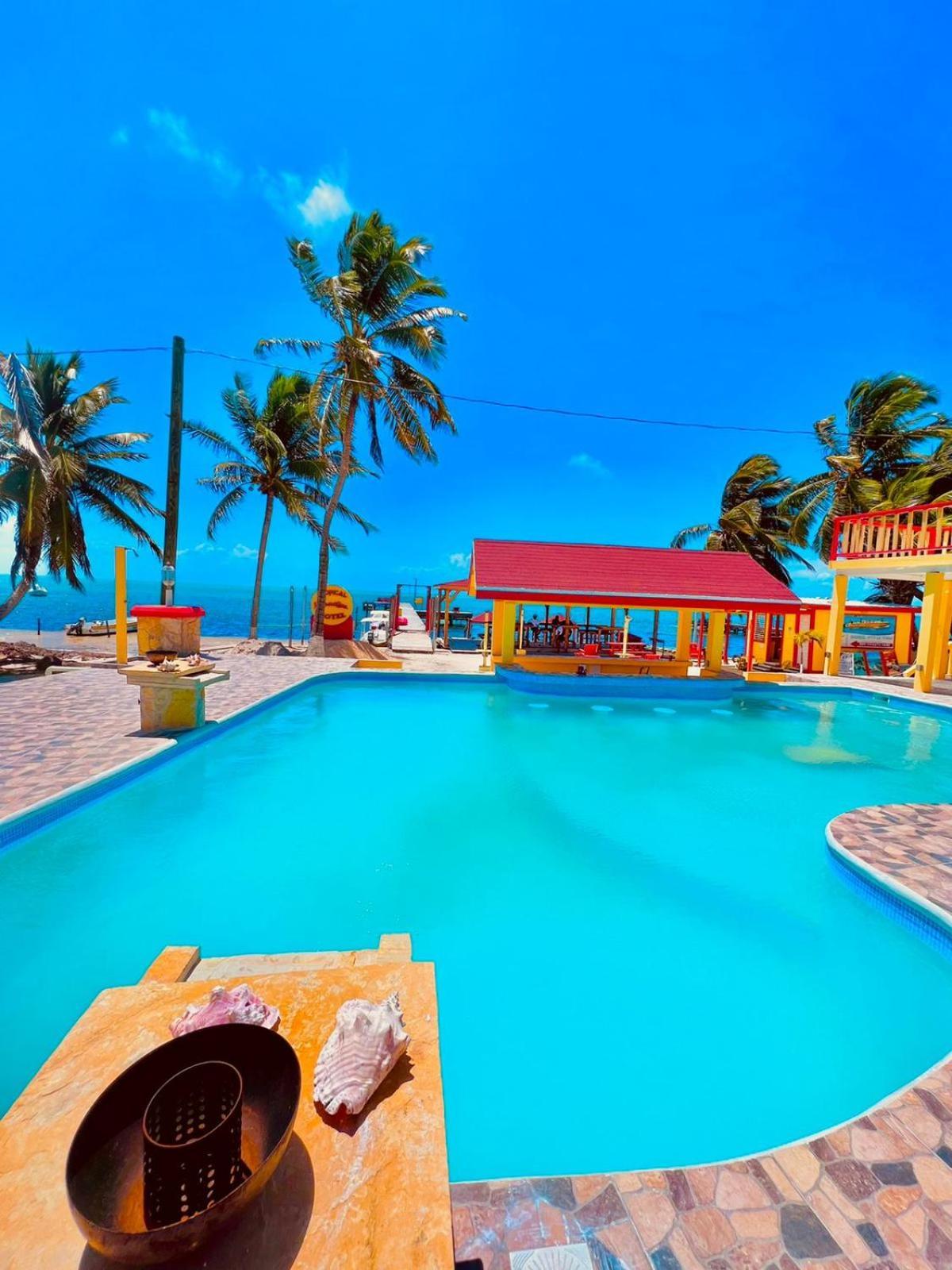 קיי קולקר Tropical Paradise Express מראה חיצוני תמונה